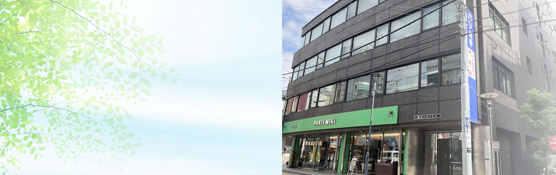 柏市の弁護士による相続・遺言法律専門サイト（柏グリーン法律事務所）