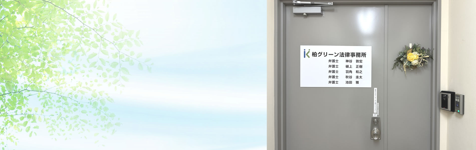 柏市の弁護士による相続・遺言法律専門サイト（柏グリーン法律事務所）